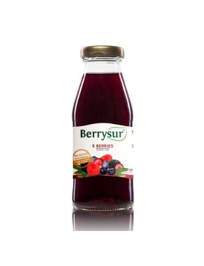 JUGO 5 BERRIES 250 CC.