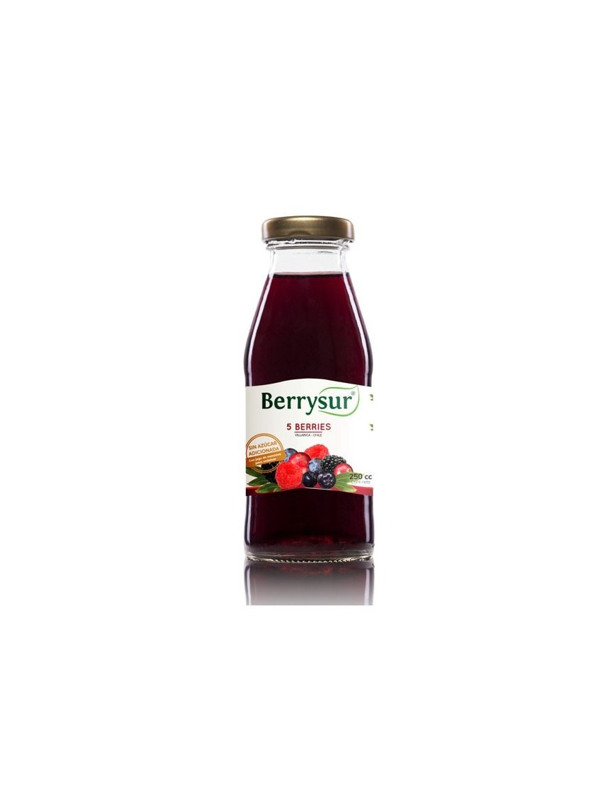 JUGO 5 BERRIES 250 CC.
