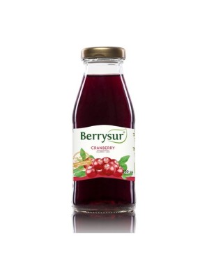 JUGO CRANBERRY 250 CC.