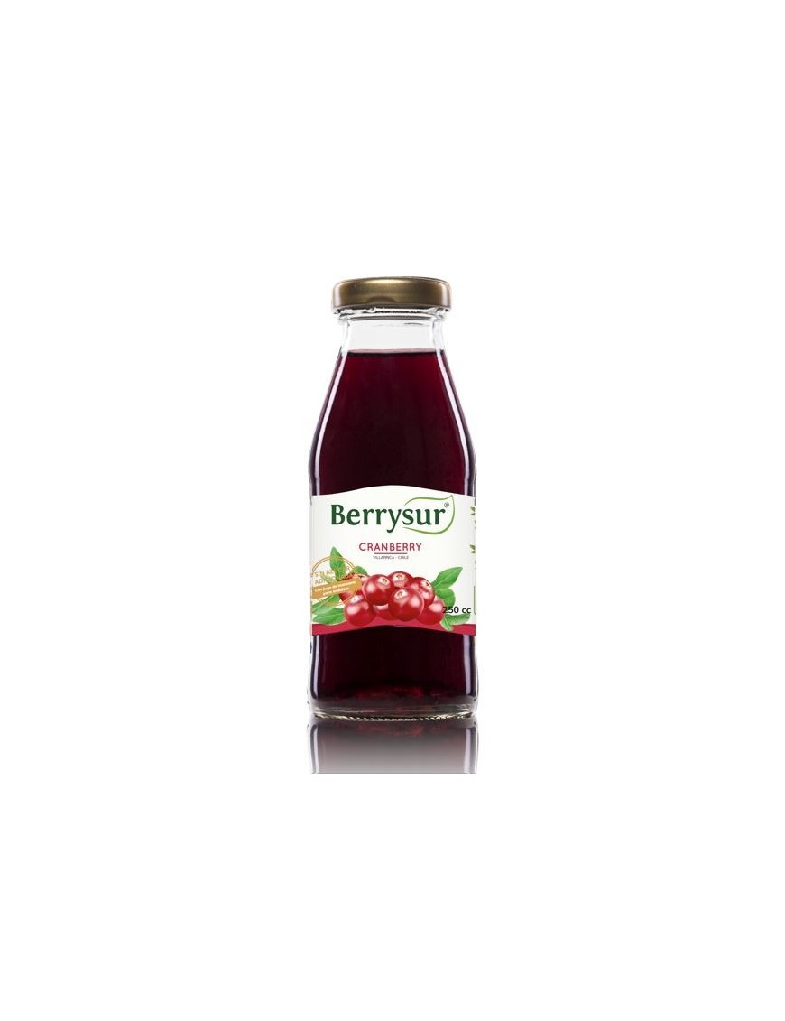JUGO CRANBERRY 250 CC.