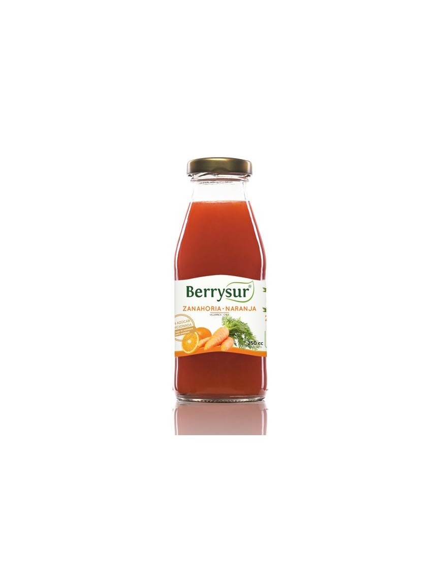 JUGO ZANAHORIA NARANJA 250 CC.