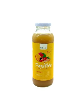 POSITIVE ENERGY 300 CC