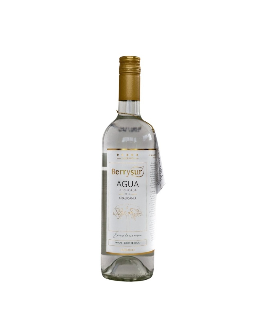 Agua purificada envasada con musica 750 cc Marca Berrysur